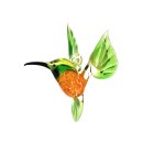 fliegender Kolibri grün gelb