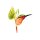 fliegender Kolibri grün gelb orange